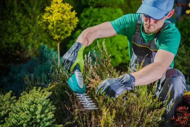landscaping services Hillsboro